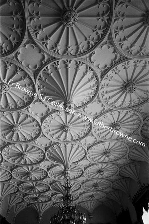 SHELTON ABBEY CEILING OF SALOON